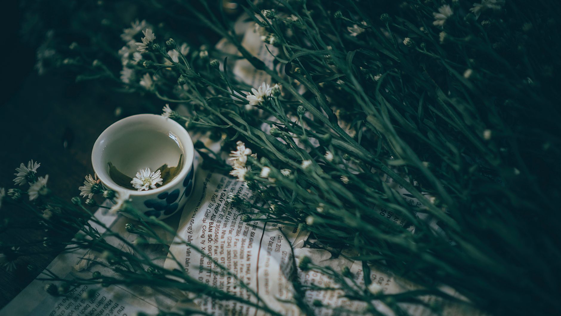 Tea & beverages