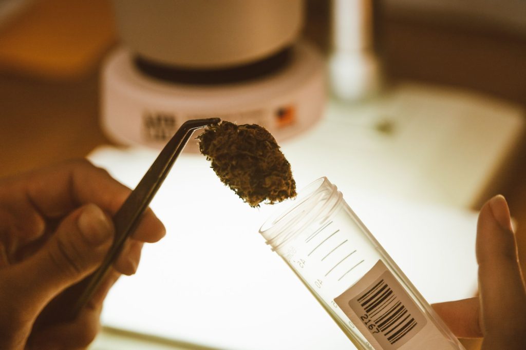 What Is a Certificate of Analysis for CBD?
