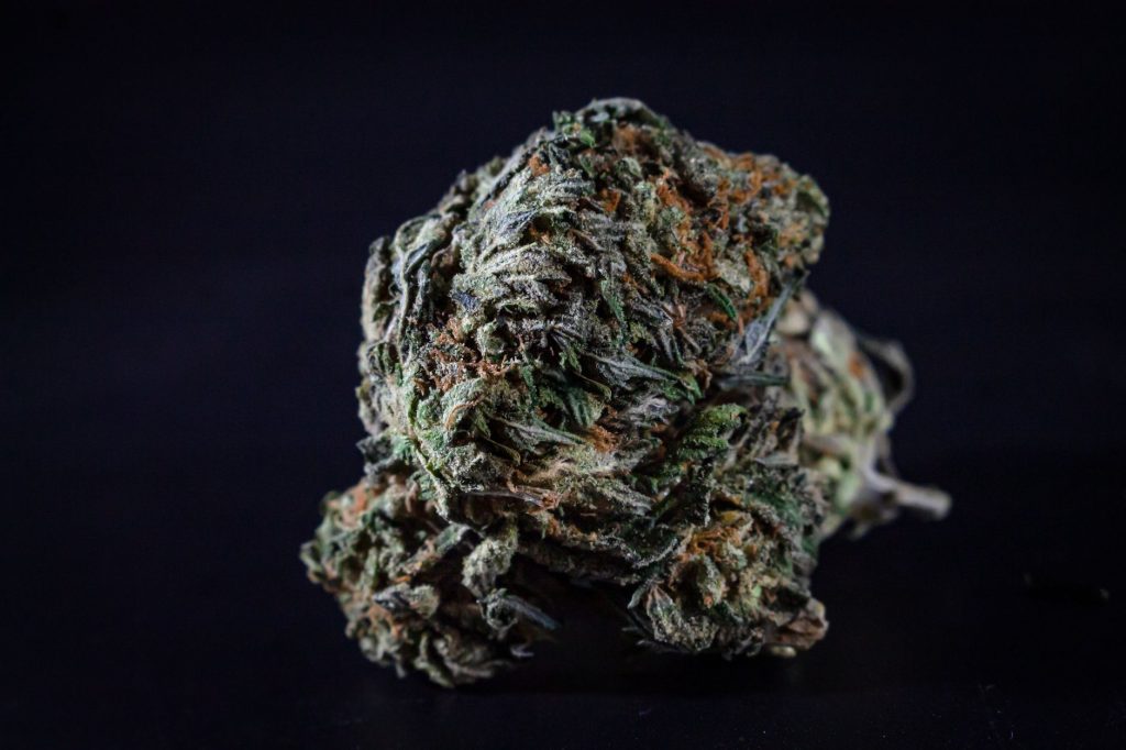 Hemp Flower Explained for Beginners